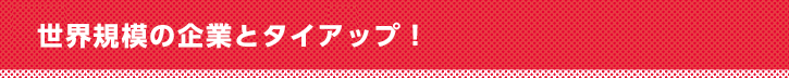 世界的IT企業も含め総合的支援！