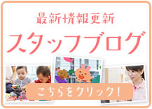 スタッフブログ