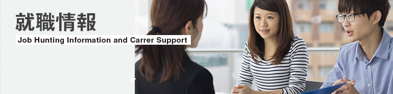Job Hunting Information and Carrer Support